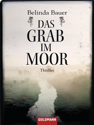 cover image of Das Grab im Moor